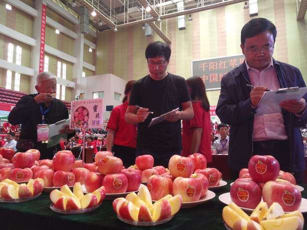 中国好苹果大赛总决赛暨首届“千阳苹果丰收节”在千阳举行