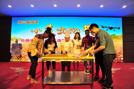 第三届杨凌小麦文化节成功举办