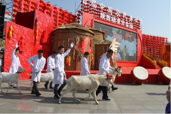 首届中国农民丰收节陕西杨凌分会场活动举行 胡和平出席并致辞